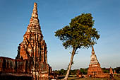 Ayutthaya, Thailand. Wat Chaiwatthanaram, N-E corner of the compound facing the river.